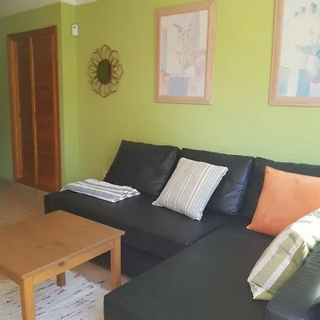 Apartament Oasis *